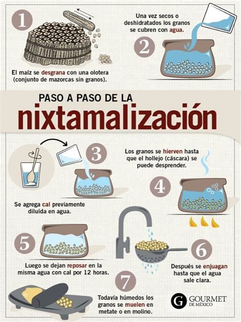 Infografía detallada del proceso de nixtamalización del maíz a la tortilla