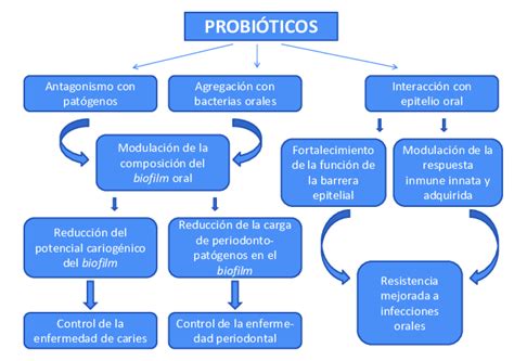Esquema que ilustra los posibles mecanismos etiopatogénicos de la DCP.