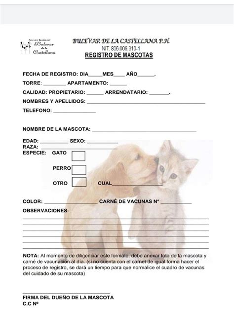 Esquema del proceso de registro de mascotas en Chile con iconos representativos de online y presencial