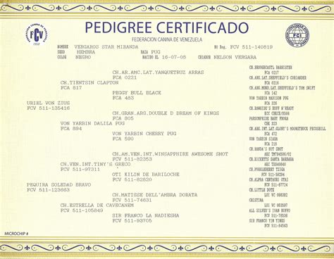 Ejemplo de certificado de pedigree con información destacada
