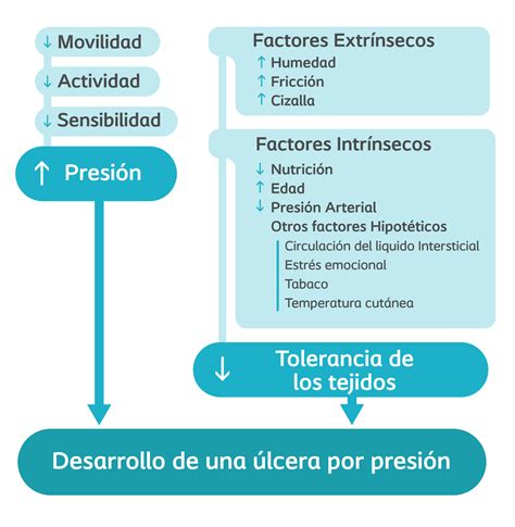 Esquema de los factores de riesgo y el ciclo de desarrollo de las úlceras por presión