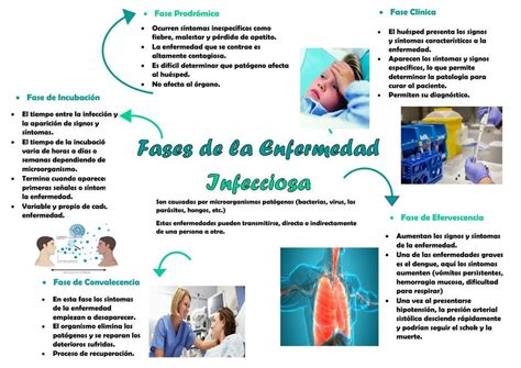 Diagrama de las etapas de la enfermedad en fase terminal.