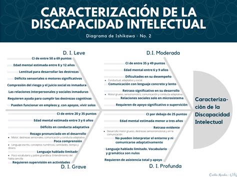 Diagrama explicando los criterios diagnósticos y niveles de severidad de la discapacidad intelectual.