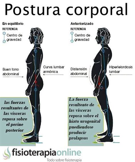 Comparativa de la postura y el contorno corporal en adultos jóvenes y ancianos