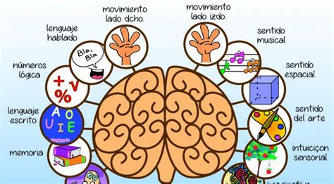 Esquema visual que compara las funciones cognitivas normales con las afectadas por el deterioro cognitivo leve y la demencia, destacando la memoria, el lenguaje y la toma de decisiones.