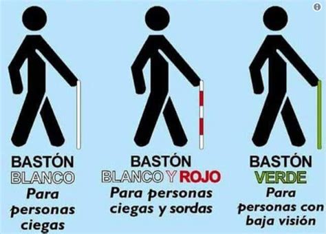 Infografía mostrando los diferentes tipos de bastones (blanco, rojo y blanco, verde, amarillo) y sus usuarios