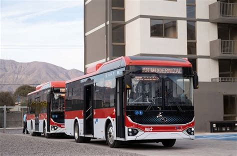 Fotografía de buses de transporte público en Copiapó señalizando la aplicación del subsidio para adultos mayores