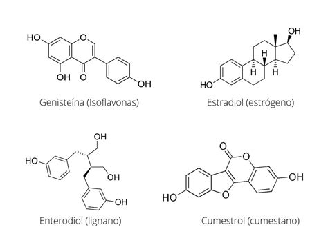 Esquema comparativo entre la estructura química de los estrógenos humanos y los fitoestrógenos presentes en plantas.
