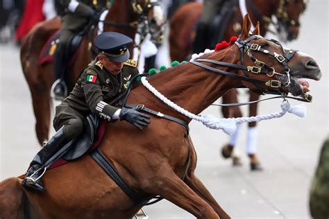Caballos militares en entrenamiento o desfile