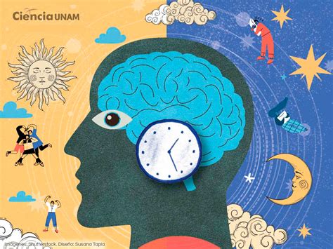 Ilustración de un reloj biológico y una persona recibiendo luz solar.