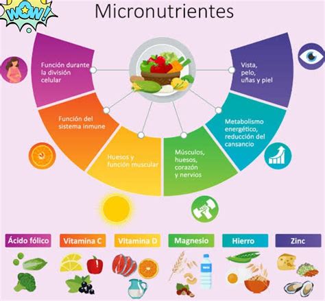 Infografía mostrando la variedad de alimentos que se pueden triturar y sus beneficios nutricionales para personas mayores.