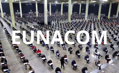 Infografía detallada con las áreas temáticas del EUNACOM y la estructura de evaluación del examen teórico y práctico.