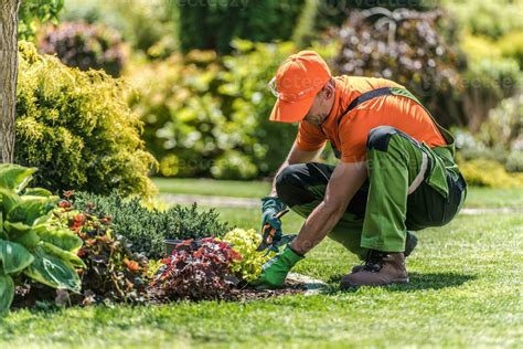 Esquema de las tareas principales de un jardinero profesional: poda, riego, control de plagas y fertilización