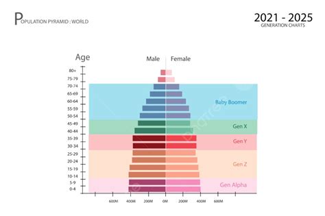 Infografía que muestra la pirámide poblacional proyectada de 2002 frente a 2025, ilustrando la transición de una estructura triangular a una cilíndrica.
