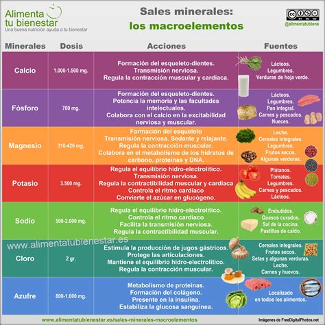 tabla nutricional con vitaminas y minerales clave para personas mayores y sus fuentes alimenticias