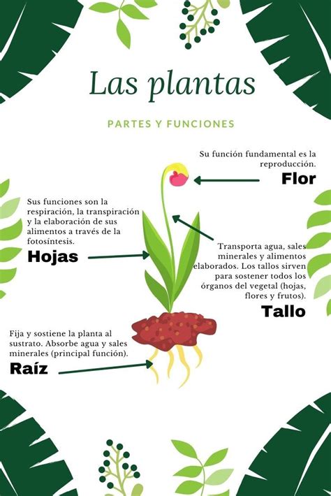 Infografía: Crecimiento de la red de plantas y centros de I+D de Nestlé en China