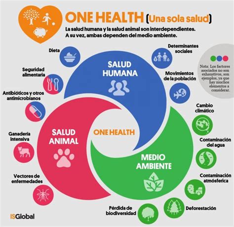 Esquema explicativo sobre el enfoque integral del programa en salud física y cognitiva