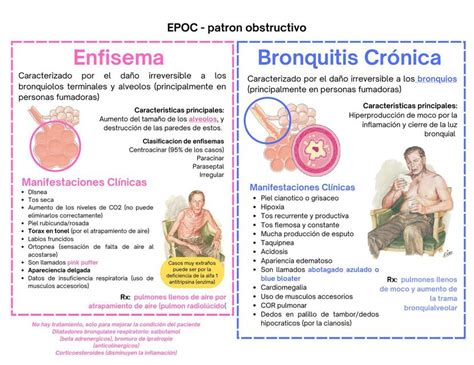 Infografía que explica la diferencia entre pulmones sanos y pulmones con EPOC (bronquitis y enfisema).