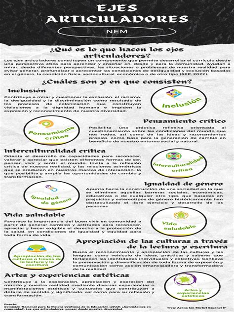 Infografía que detalla los ejes teóricos de los Estudios Críticos en Discapacidad: poder, producción de cuerpos, opresión internalizada, interseccionalidad e identidades múltiples, y ensamblajes posthumanos.