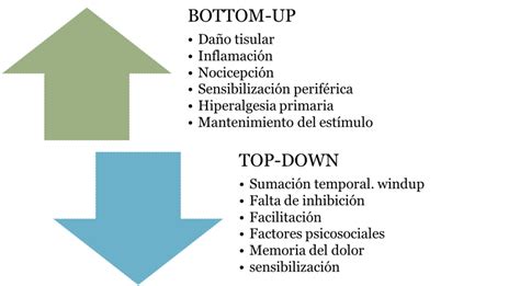 Diagrama que ilustra las teorías