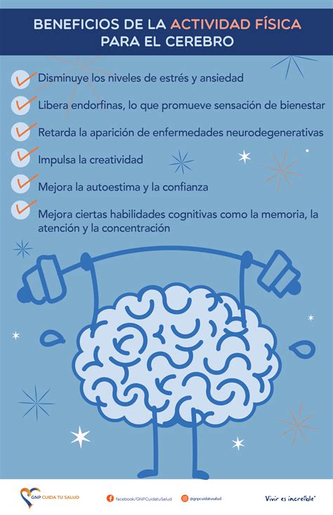 Infografía detallando los beneficios físicos de caminar para personas mayores