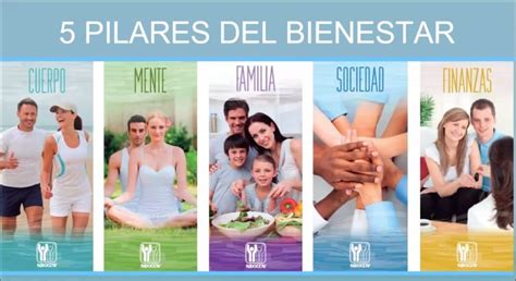 Infografía sobre los pilares del bienestar emocional en adultos mayores: compañía, actividad física y apoyo social