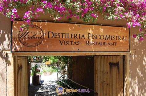 Viñedos y destilería de pisco en el Valle de Elqui