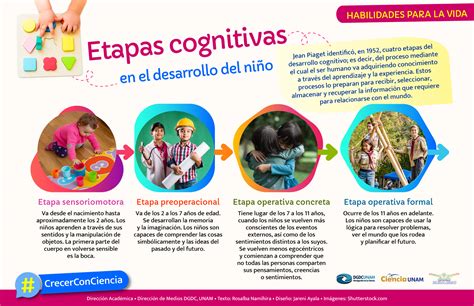 Infografía que muestra el impacto del cuidador en el desarrollo social, emocional y cognitivo del niño.