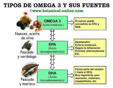 Infografía: Tipos de ácidos grasos Omega-3 (ALA, EPA, DHA) y sus fuentes principales