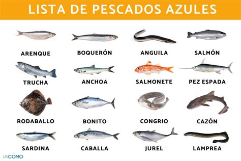 Foto: Pescado azul y microalgas, fuentes de DHA