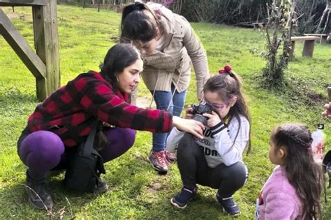 Infografía mostrando los tres componentes del programa Servicio País Cultura: itinerancias artísticas, gestión de proyectos creativos y formación.