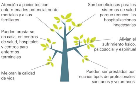 Esquema de los principios y objetivos de los cuidados paliativos según la OMS