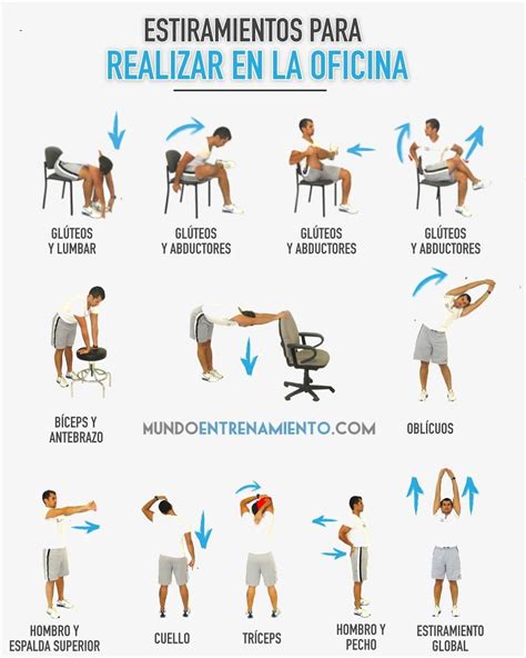 Esquema de ejercicios de estiramiento simples para oficina