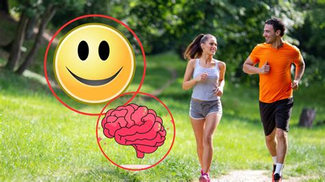Infografía mostrando beneficios del ejercicio para la salud física y mental en adultos mayores