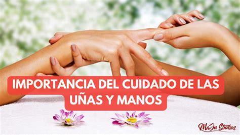 Infografía detallando los servicios ofrecidos en la residencia: asistencia 24h, salas sociales, terrazas, biblioteca y accesibilidad total.