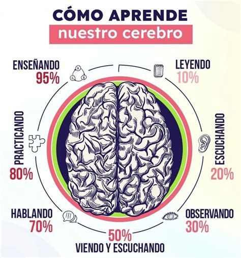 Infografía sobre cómo el cerebro aprende y desaprende el miedo