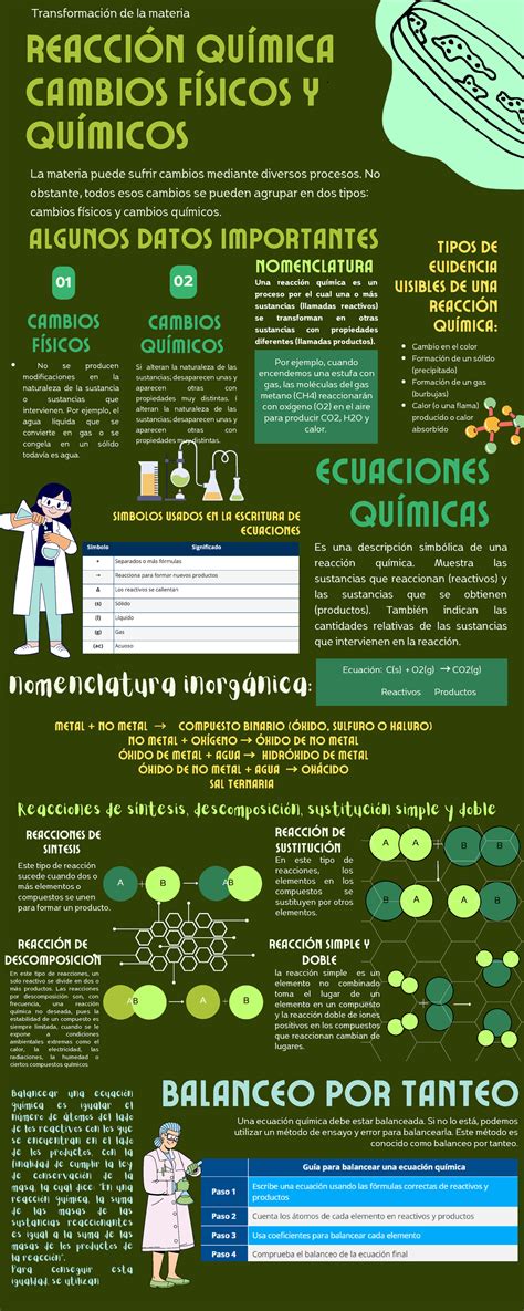 Infografía sobre las reacciones químicas y neurológicas del amor en el cerebro