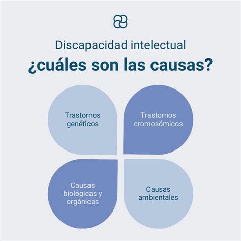 Infografía ilustrando las diferentes causas de la discapacidad intelectual (genéticas, prenatales, perinatales, postnatales).