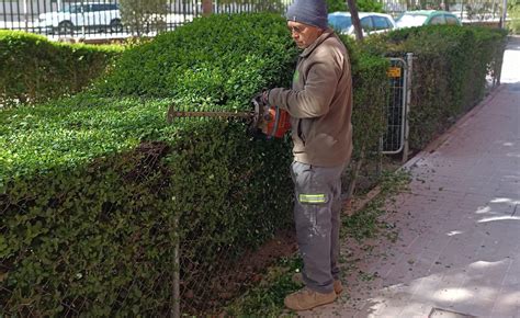 Persona realizando diversas tareas de mantenimiento en una finca rural, como poda de arbustos o limpieza de caminos