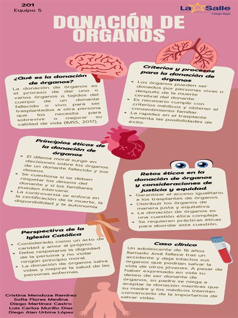 Infografía sobre los métodos de donación y los insumos más necesarios (leche, pañales, útiles de aseo)