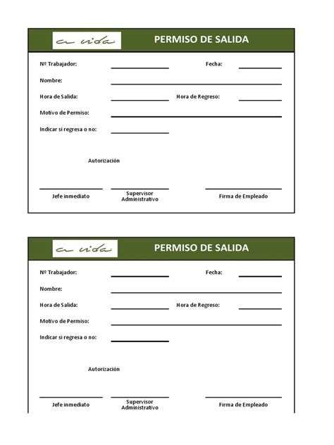 Esquema visual sobre los requisitos y condiciones del permiso de salida para personas con Trastorno del Espectro Autista o discapacidad cognitiva con su cuidador