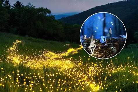 Fotografía aérea de la sede Las Luciérnagas, destacando los amplios jardines y el entorno