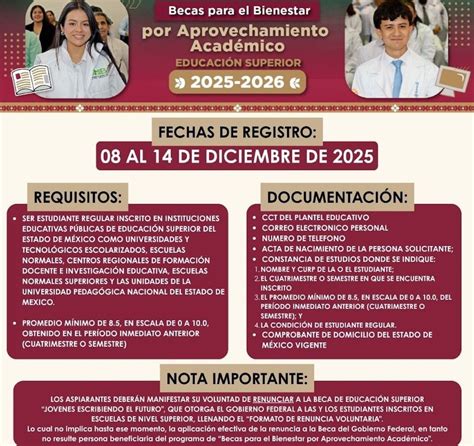 Infografía: distribución de cupos para becas de discapacidad por tipo de beca