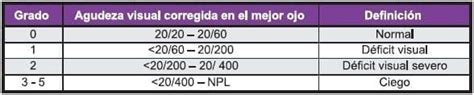 Esquema de la agudeza visual y grados de discapacidad visual según la OMS