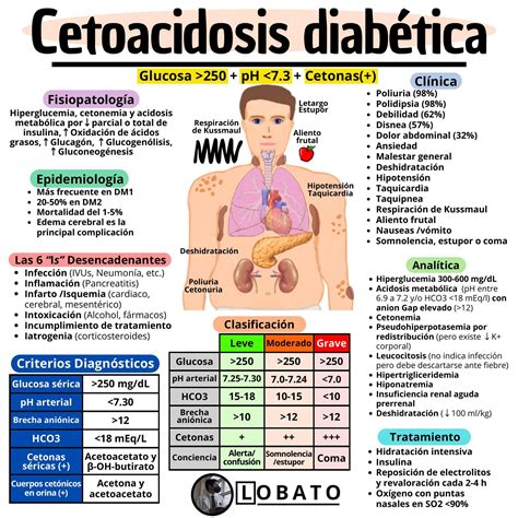 Infografía sobre los síntomas de la hiperglicemia y cetoacidosis