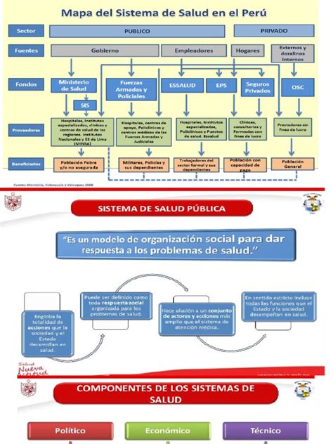 Diagrama del sistema de salud de los Países Bajos, destacando sus principios y leyes.