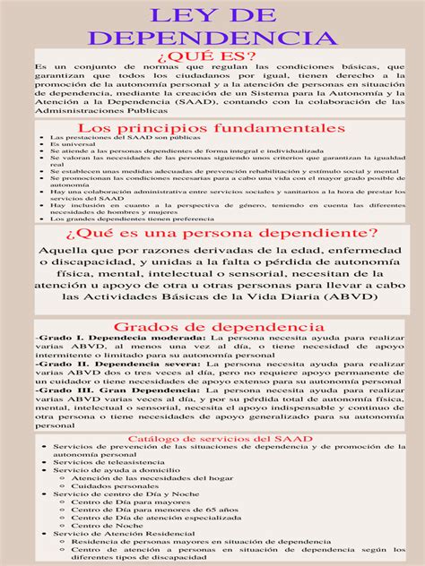 infografía: pilares de la Ley de Dependencia