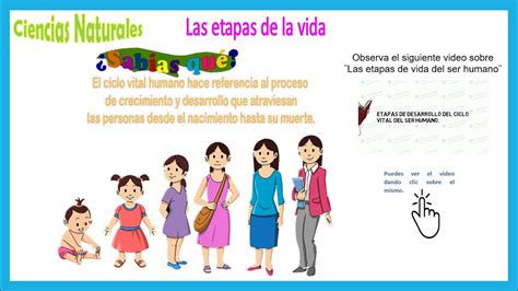 Infografía: Ciclo de vida de la mujer y sus vulnerabilidades de salud