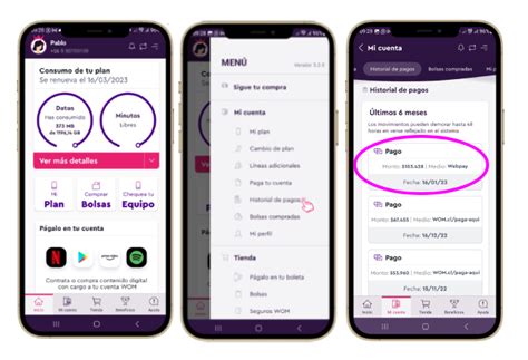 Esquema de pasos para consultar historial de pagos en una plataforma virtual