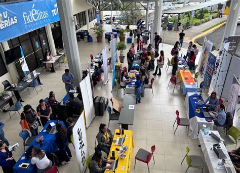 Fotografía: Personas interactuando en stands de una feria de empleo inclusiva